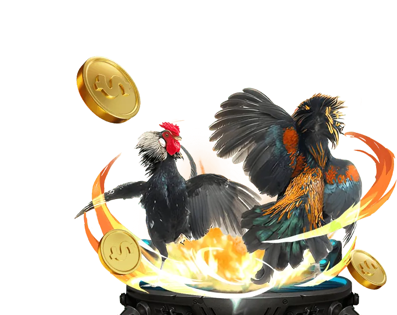 Chương trình VIP da bet